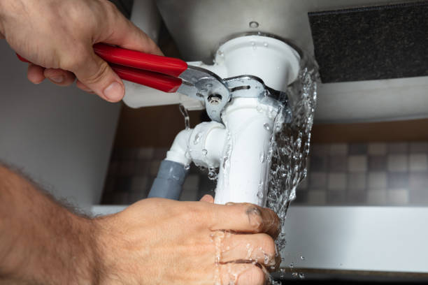 Best Basement water damage restoration  in Cottage Grove, MN