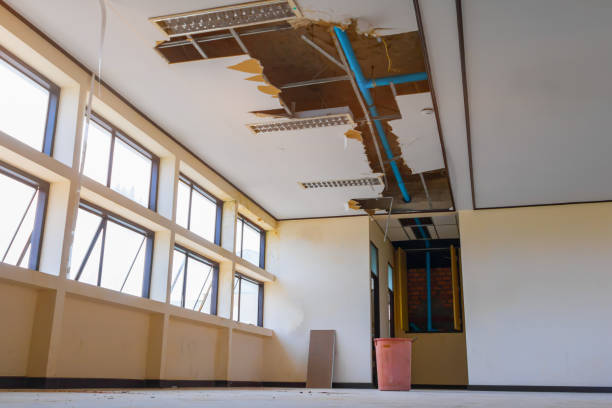 Best Flood damage cleanup  in Cottage Grove, MN