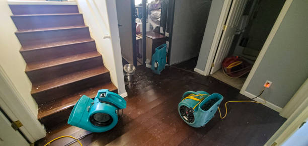 Best Flood damage cleanup  in Cottage Grove, MN