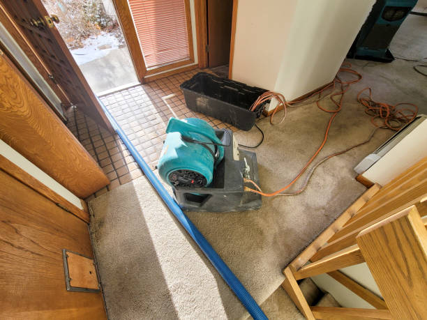 Best 24-hour water damage restoration  in Cottage Grove, MN