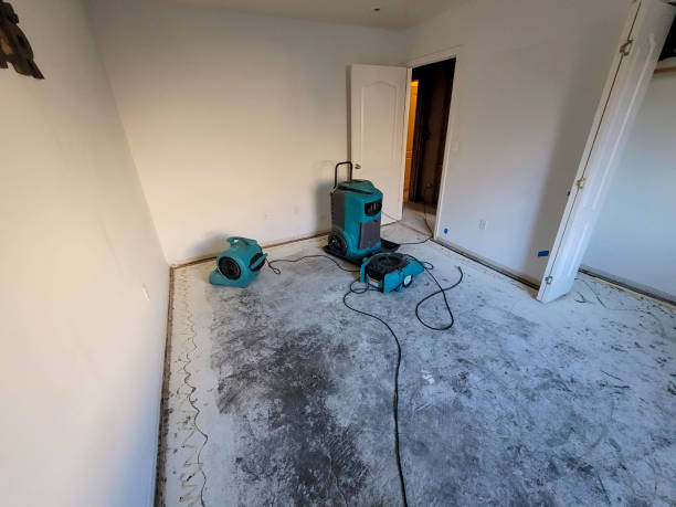 Water damage restoration insurance claims in Cottage Grove, MN
