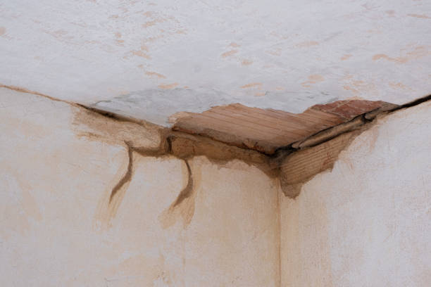 Best Local water damage restoration  in Cottage Grove, MN