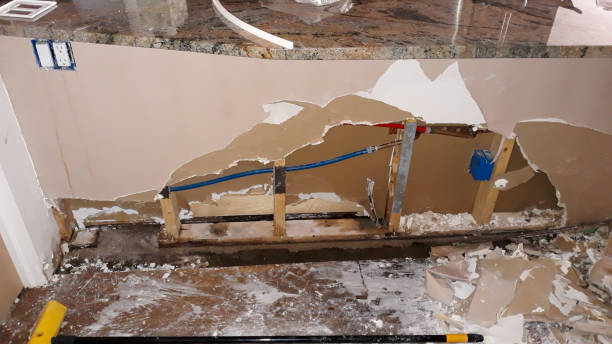 Best Mold removal after water damage  in Cottage Grove, MN