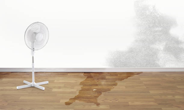 Best Emergency water damage restoration  in Cottage Grove, MN
