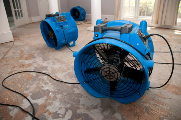 Best Water damage restoration near me  in Cottage Grove, MN