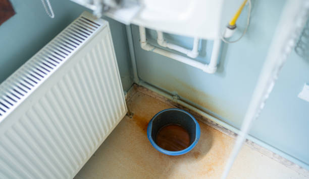 Best Ceiling water damage repair  in Cottage Grove, MN
