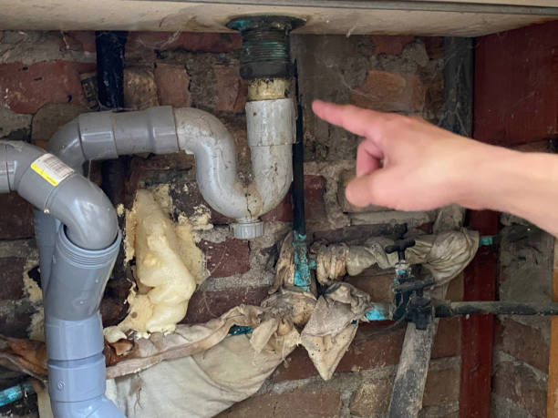 Best Flood damage cleanup  in Cottage Grove, MN