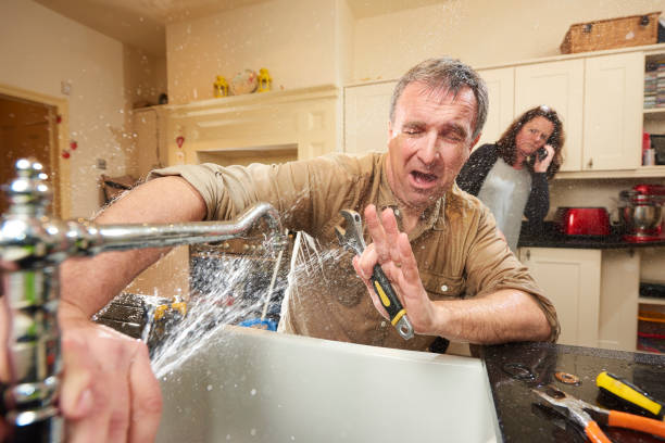 Best Fire Damage Restoration  in Cottage Grove, MN